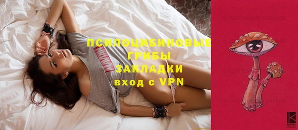 тгк Абаза