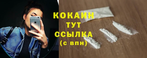 тгк Абаза