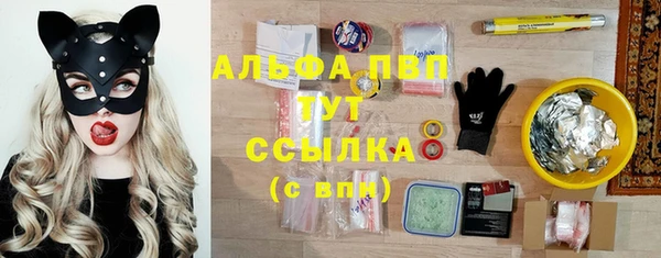 тгк Абаза